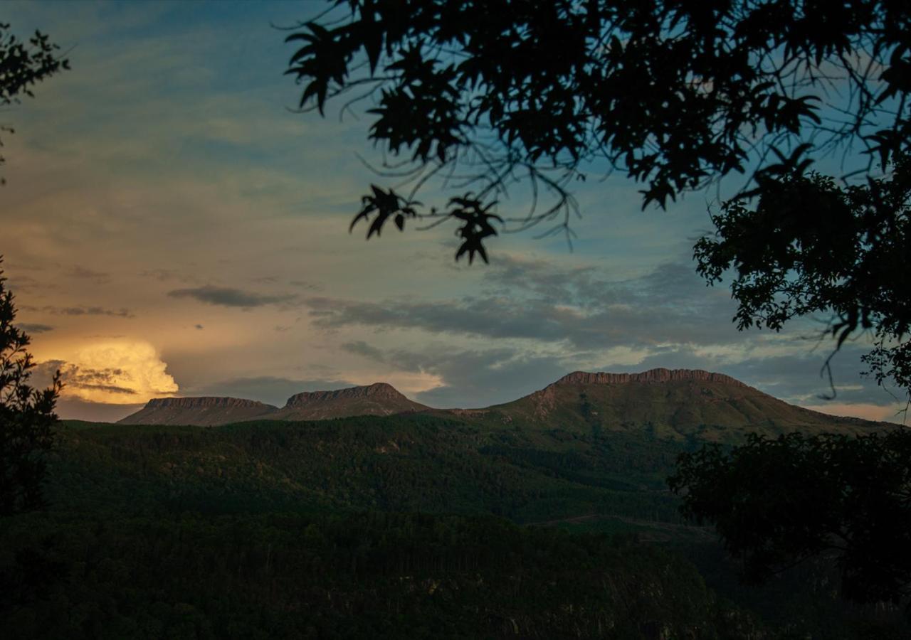 Away With The Fairies Nature Lodge And Backpackers Hogsback Exterior foto